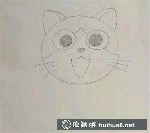 起司貓的眼睛