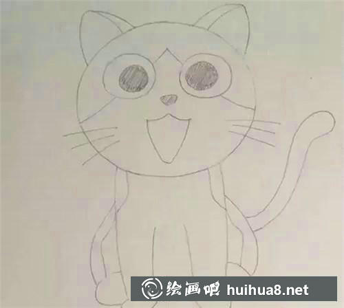 起司貓的身體花紋