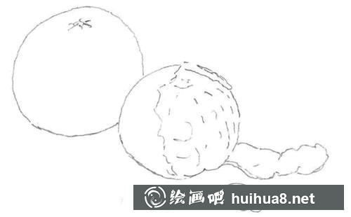 桔子素描圖步驟2