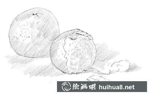 桔子素描圖步驟3