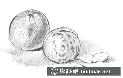 桔子素描圖步驟4