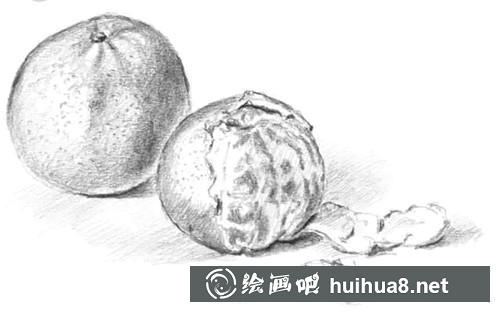 桔子素描圖步驟5