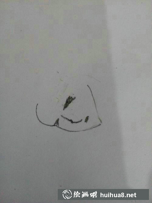 美人魚面部輪廓