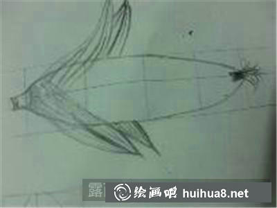 3 玉米素描步驟3