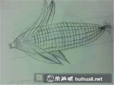 4 玉米素描步驟4