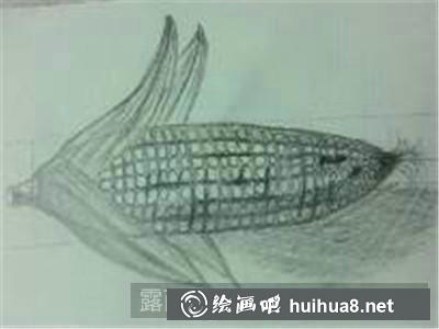 6 玉米素描步驟6