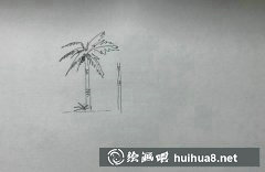 速寫椰子樹技巧揭秘