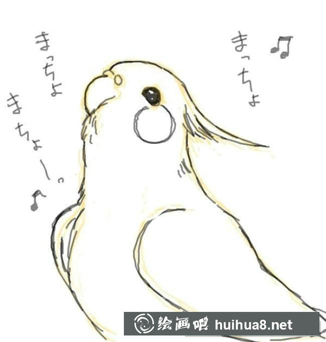 鸚鵡手繪步驟4