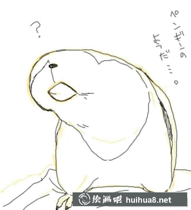 鸚鵡手繪步驟2