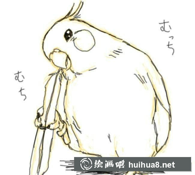 鸚鵡手繪步驟3