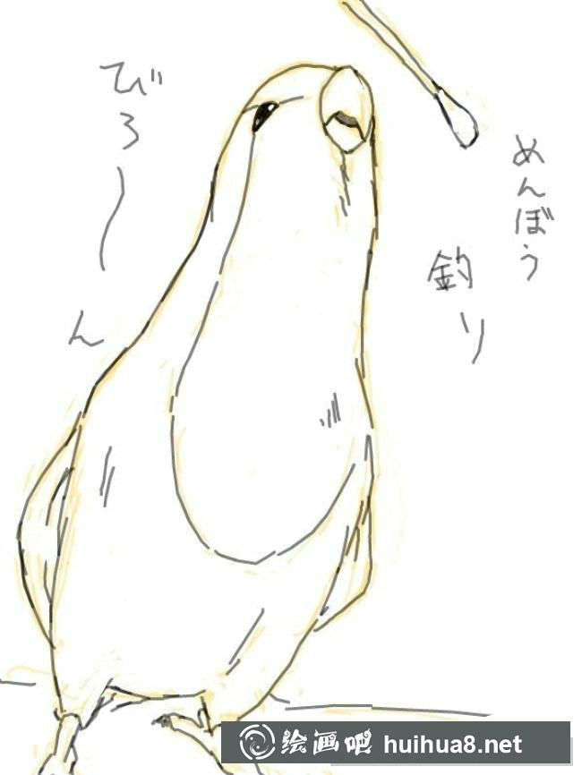 鸚鵡手繪步驟8