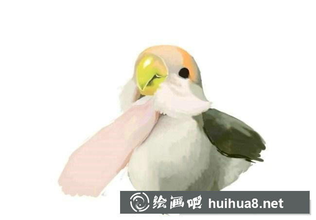 鸚鵡手繪步驟10
