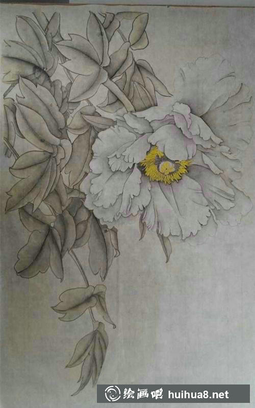 上色牡丹