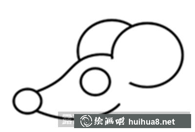 貓咪鼻子嘴巴