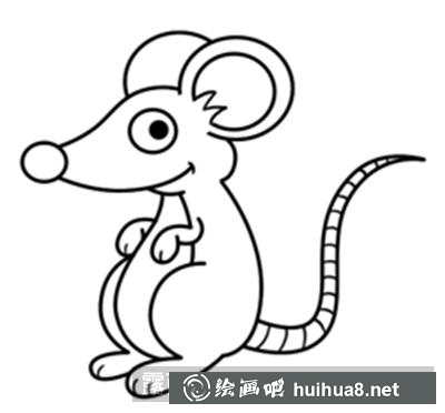 貓咪細(xì)節(jié)