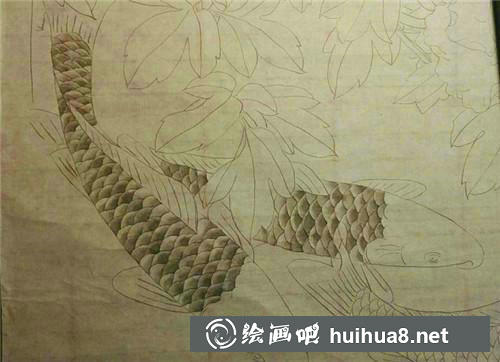 2 淡墨分染魚體