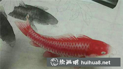 3 紅色魚分染