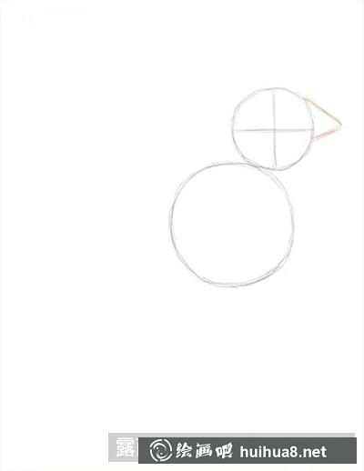金翅雀頭部輪廓