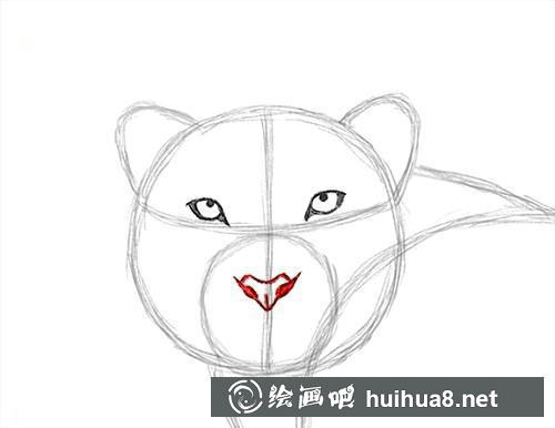 雪豹面部細化