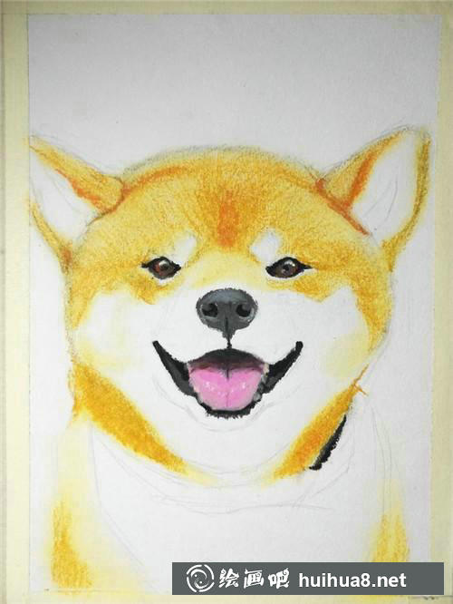毛發(fā)底色