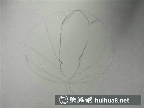 桃花繪制步驟1