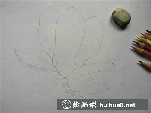 桃花繪制步驟2