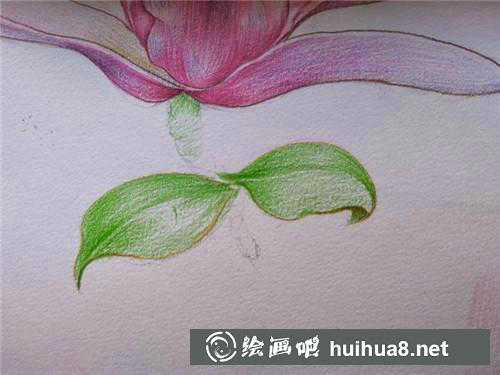 桃花繪制步驟5