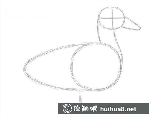 2 鴨頭部和腳部輪廓