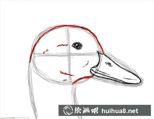 3 鴨眼睛和嘴巴細節(jié)