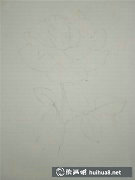 薔薇花水彩教程入門攻略