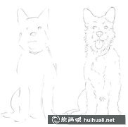 素描狗繪畫技巧解析