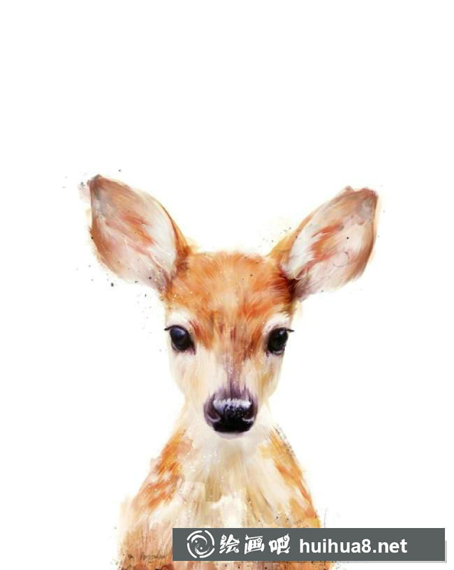 小鹿插畫