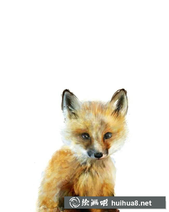兔子插畫