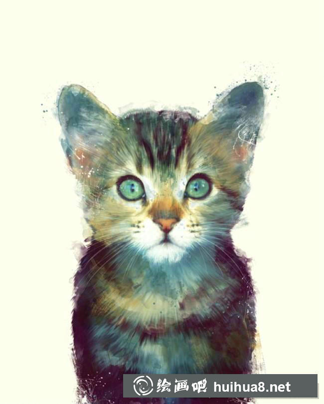 貓插畫
