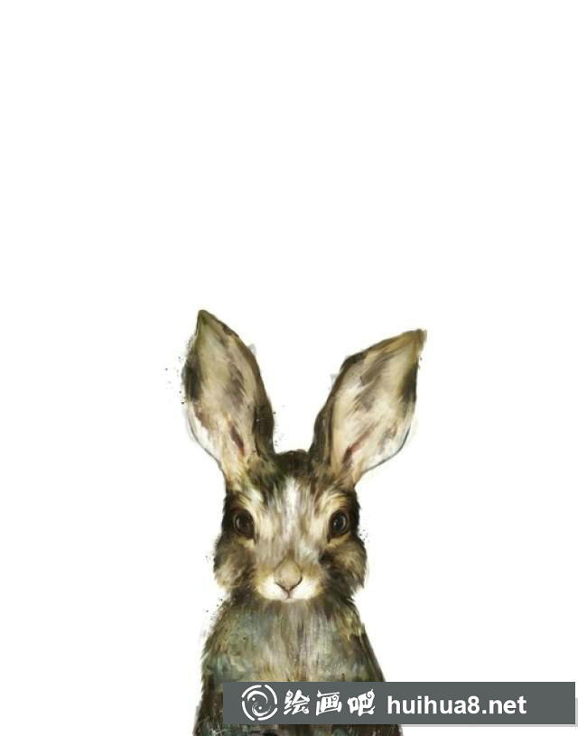小狗插畫
