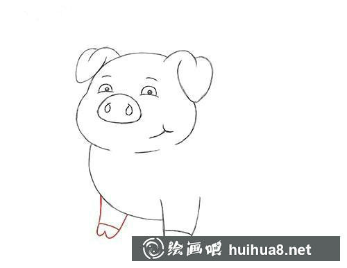 豬的身體