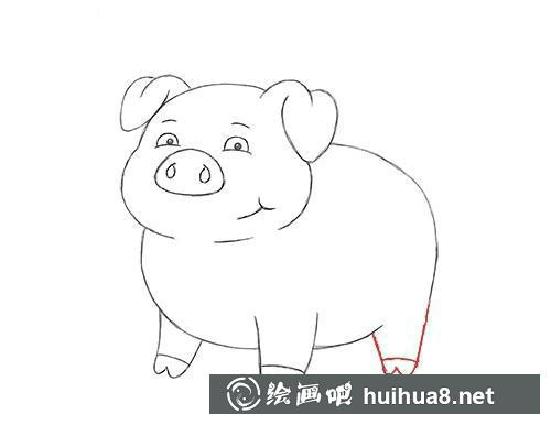 豬的后腿