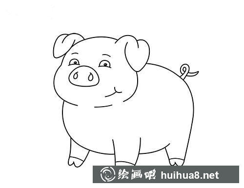 豬的尾巴