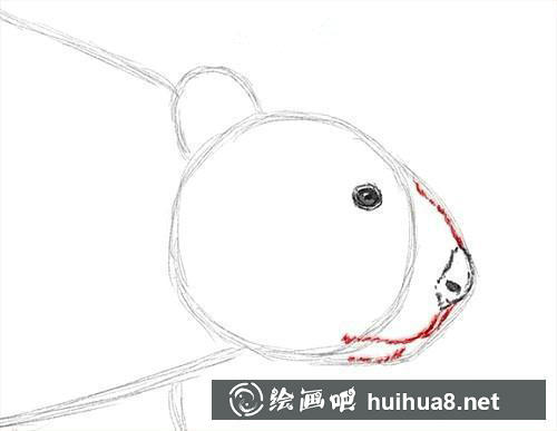 海貍面部
