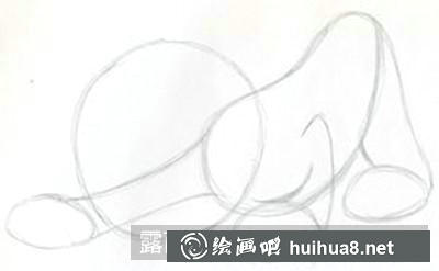 貓咪頭部和身體