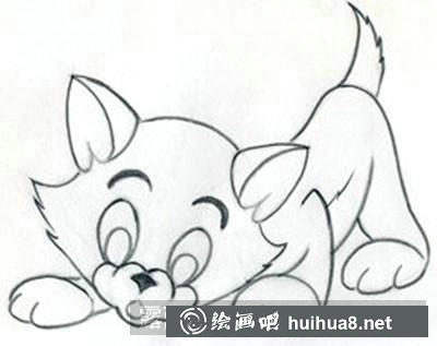 貓咪嘴巴和眉毛