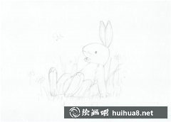 兔子彩鉛畫教程速成