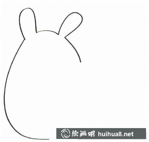 龍貓身體