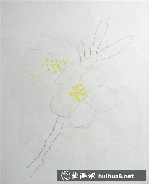 櫻花底稿