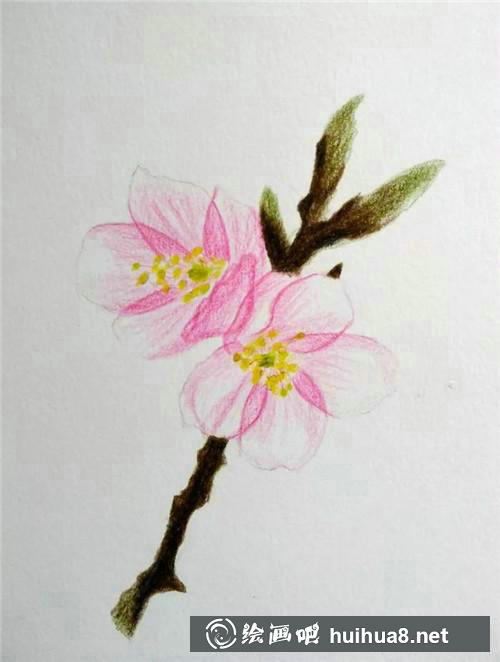 櫻花調(diào)整