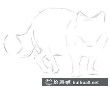 雪狐素描步驟教學(xué)
