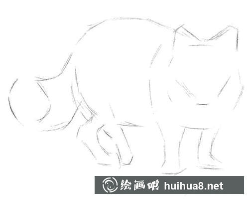 雪狐素描畫(huà)步驟1