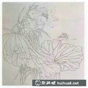 荷花工筆畫(huà)法藝術(shù)之美