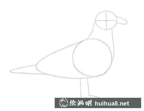海鷗素描步驟2 海鷗素描步驟2