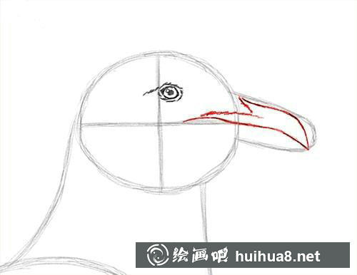 海鷗素描步驟3 海鷗素描步驟3